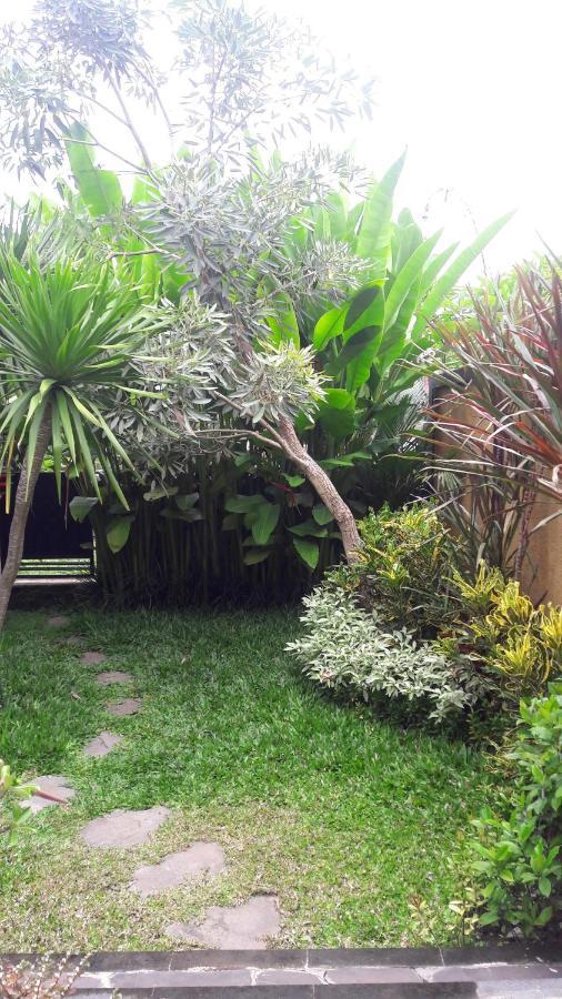 De Mangku Hotel Ubud Kültér fotó